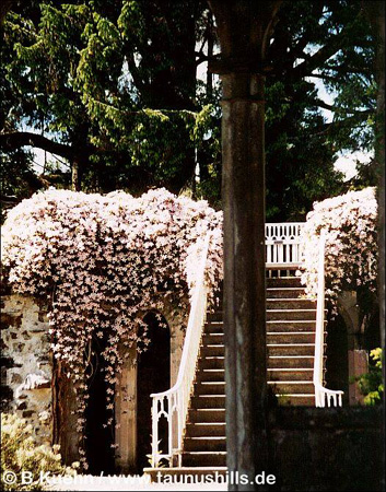 Armadale Castle