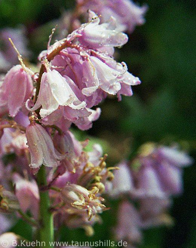 ©20_05_04_033